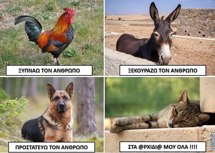 Αστεία εικόνα