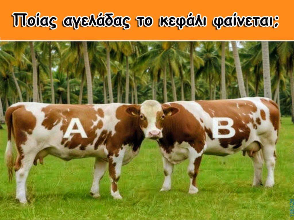 Αστεία εικόνα