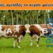 Αστεία εικόνα