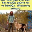Αστεία εικόνα