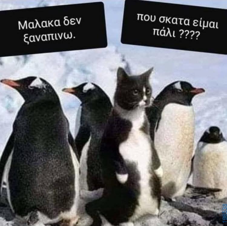 Αστεία εικόνα