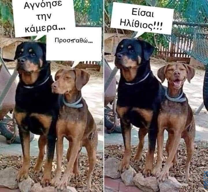 Αστεία εικόνα