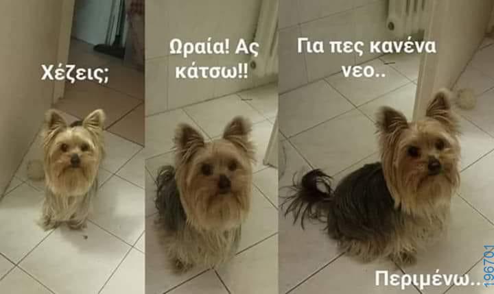 Αστεία εικόνα