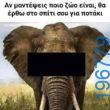 Αστεία εικόνα