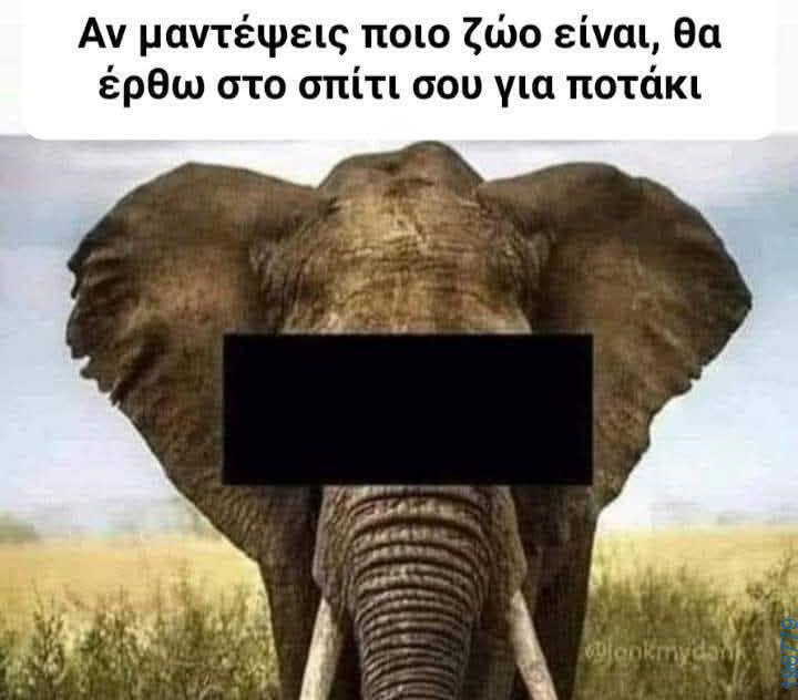 Αστεία εικόνα