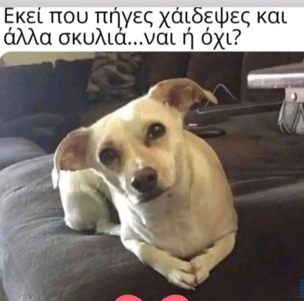 Αστεία εικόνα