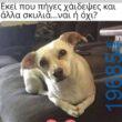 Αστεία εικόνα