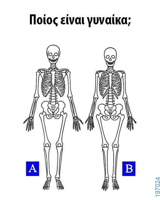 Αστεία εικόνα