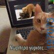 Αστεία εικόνα