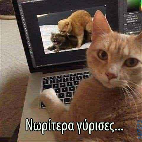 Αστεία εικόνα