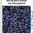 Αστεία εικόνα