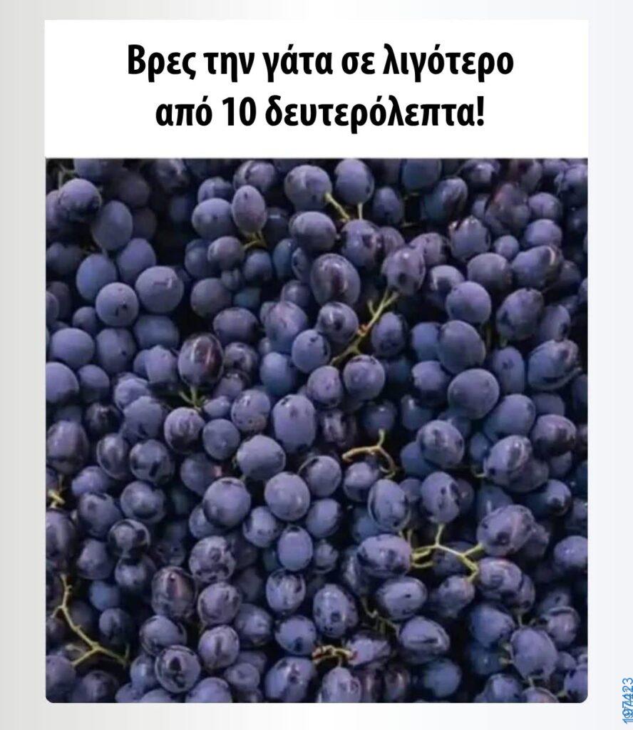 Αστεία εικόνα