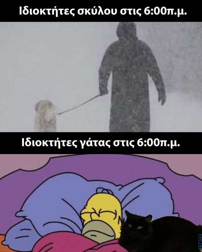 Αστεία εικόνα