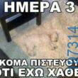 Αστεία εικόνα
