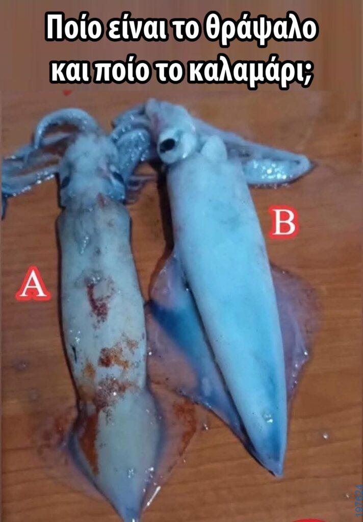 Αστεία εικόνα