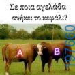 Αστεία εικόνα