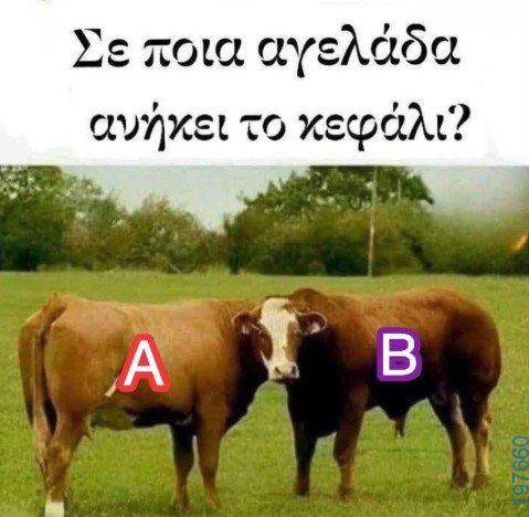 Αστεία εικόνα