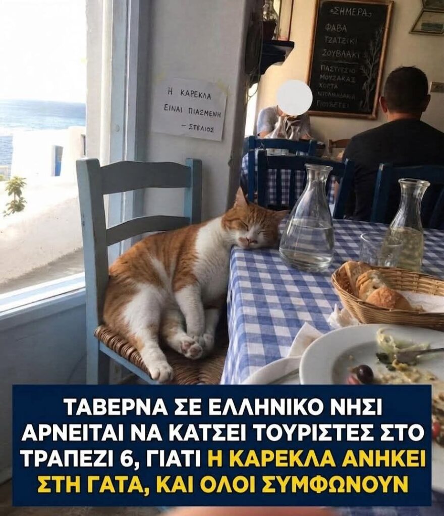 Funny Image