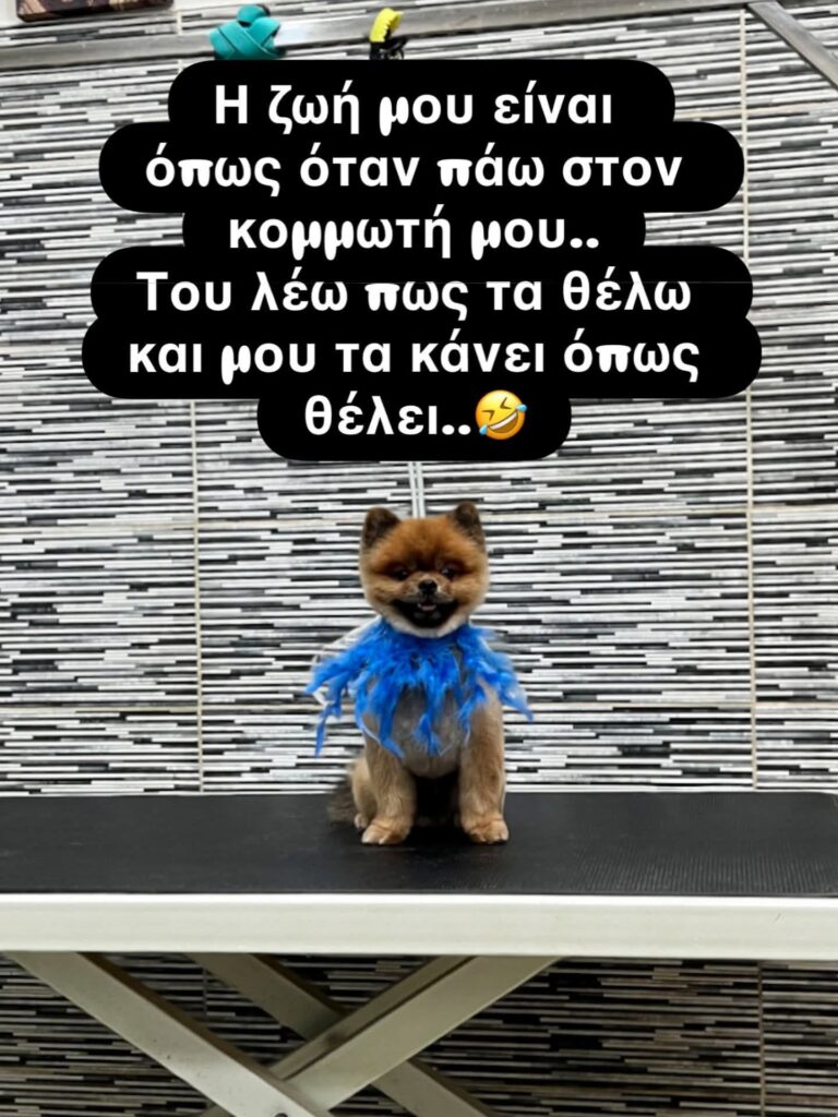 Funny Image