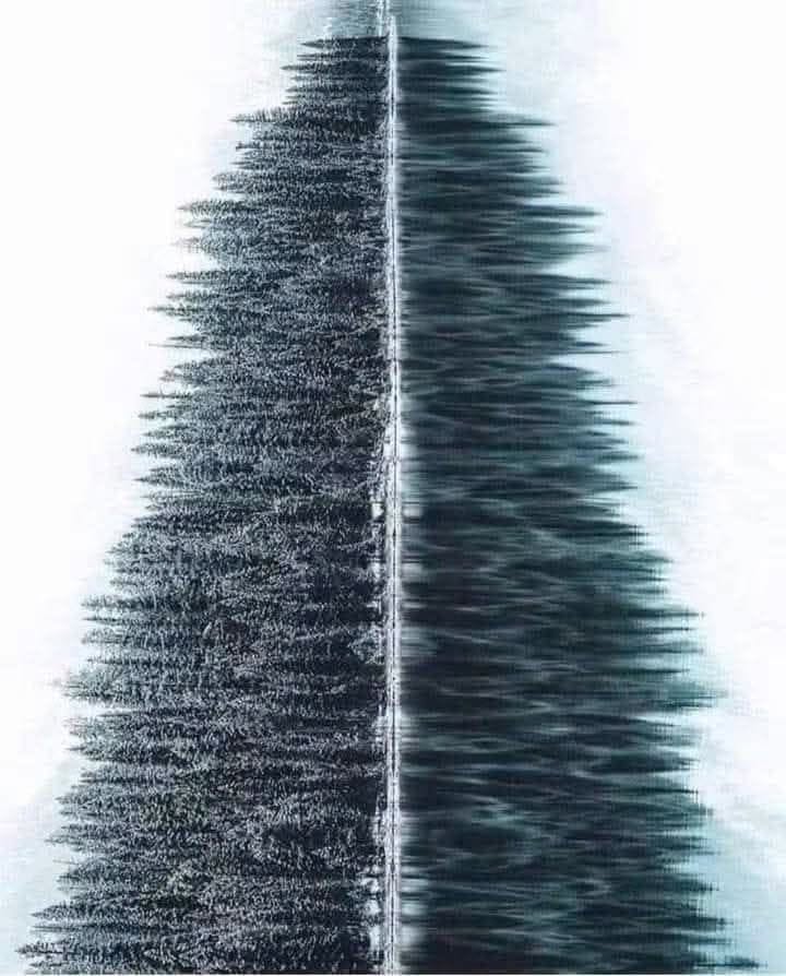 Funny Image