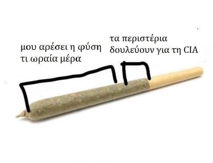 Funny Image