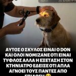 Funny Image