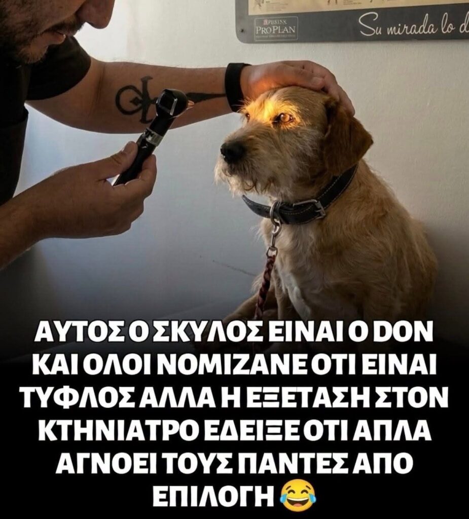 Funny Image