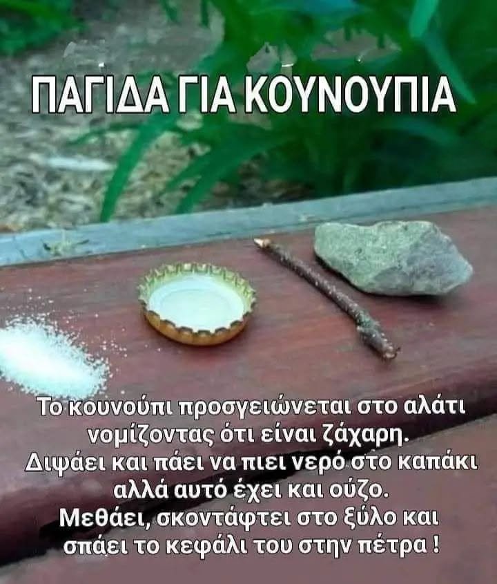 Funny Image
