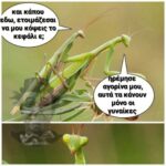 Funny Image