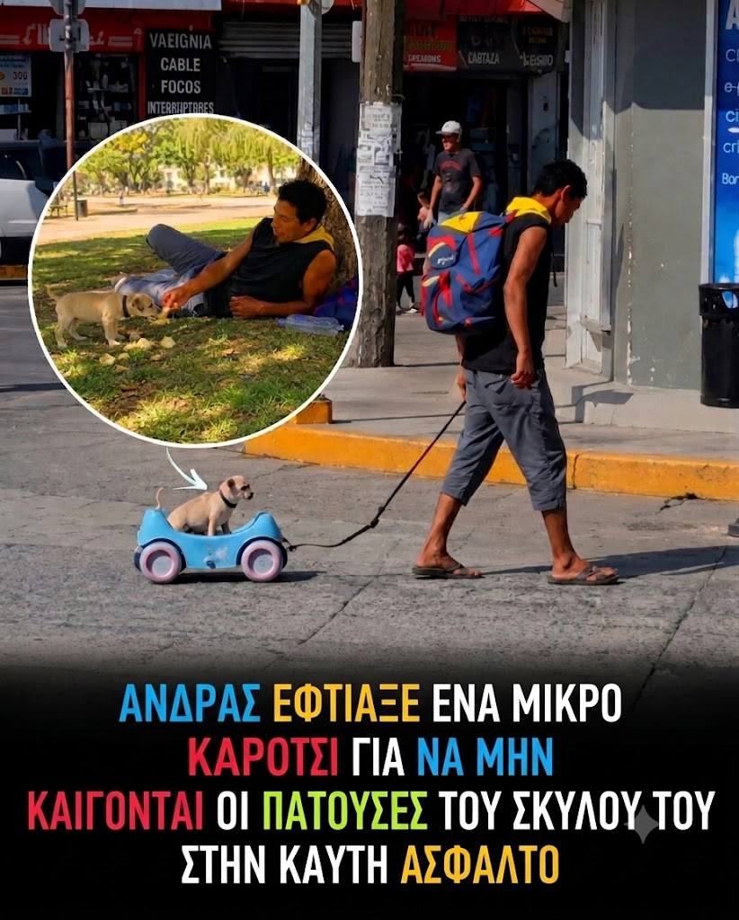 Funny Image