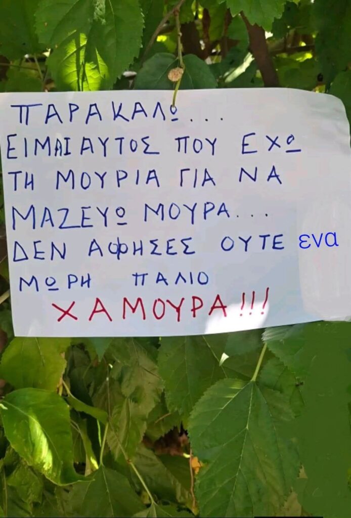 Funny Image