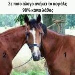 Funny Image