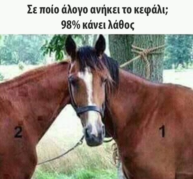 Funny Image
