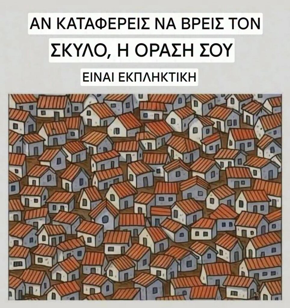Funny Image
