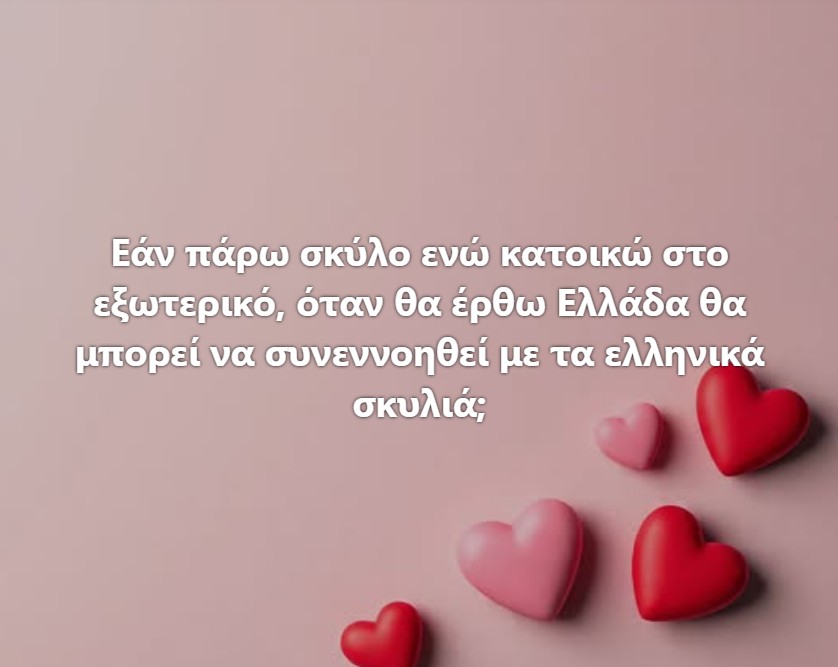 Funny Image